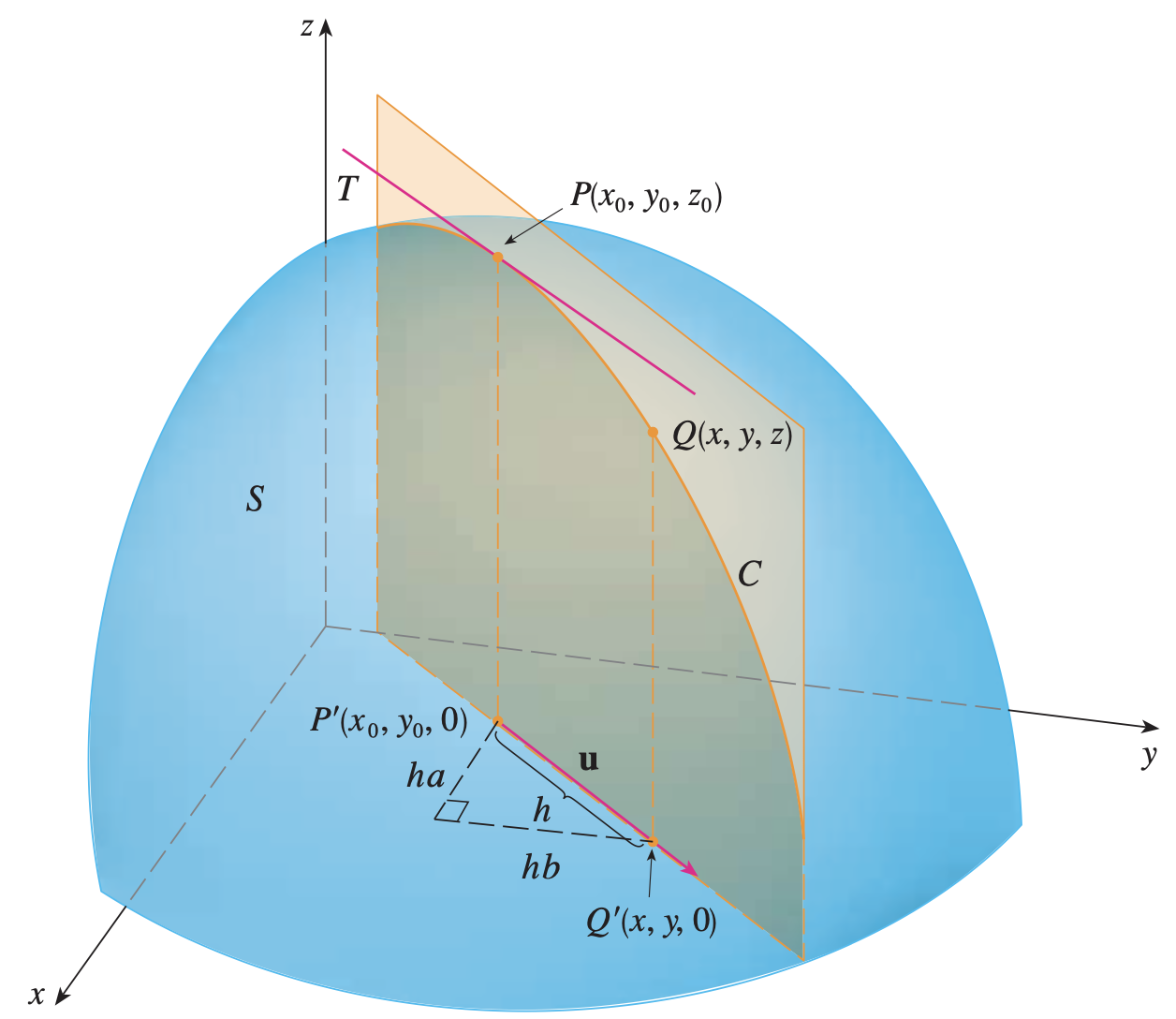 Derivada direccional