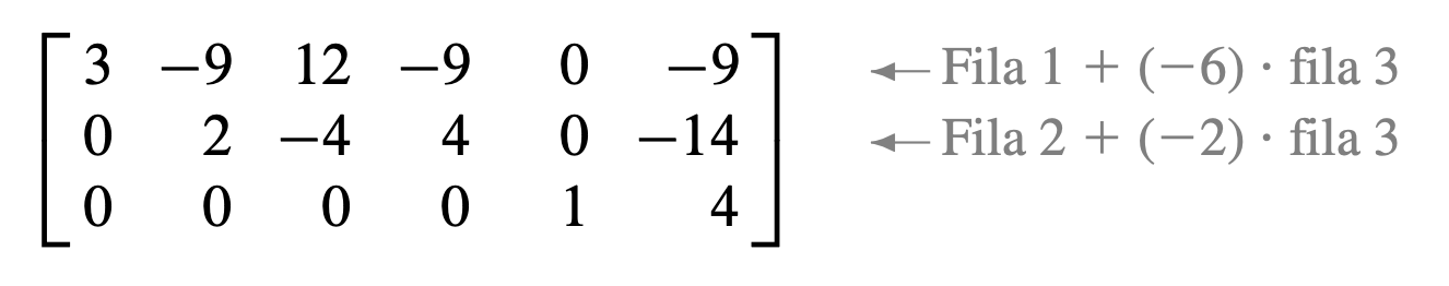Paso 5