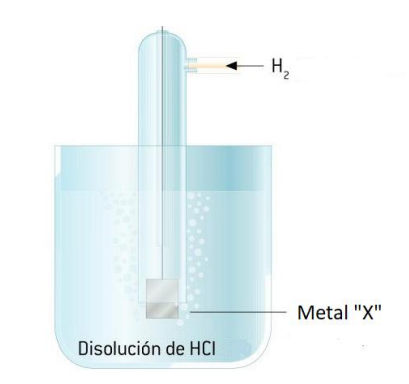 Pregunta 33