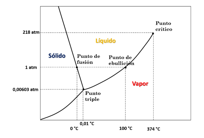 Pregunta 29