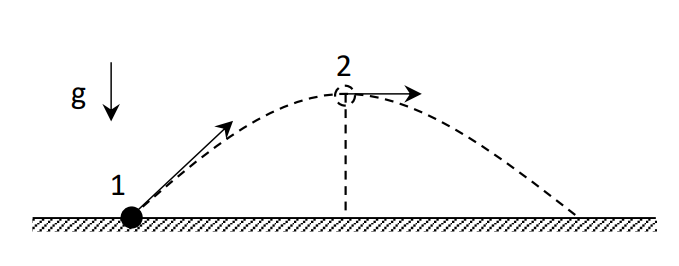 Pregunta 11